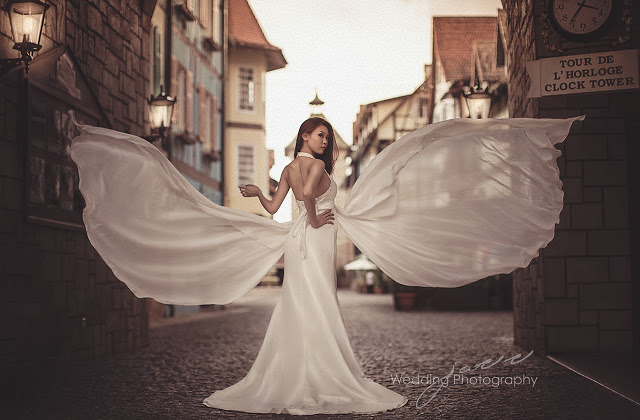 butterfly flounce wedding dress