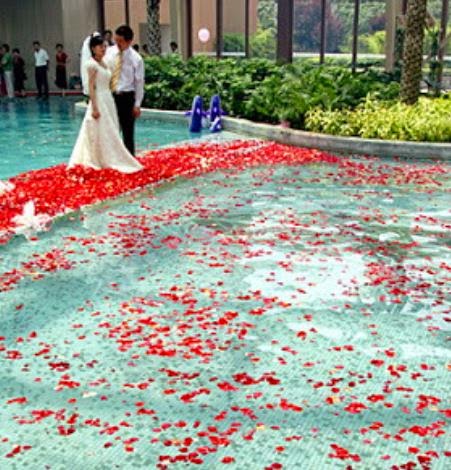pool full of flower petals