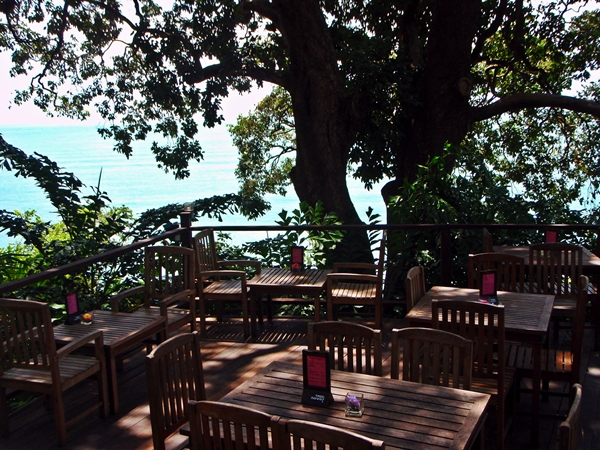 sea monkey restaurant penang